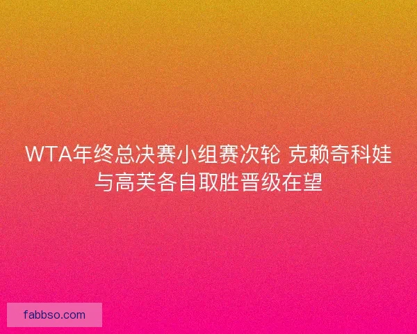 WTA年终总决赛小组赛次轮 克赖奇科娃与高芙各自取胜晋级在望